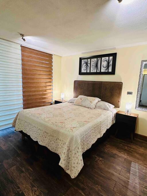 Lindo Y Comodo Dpto Providencia 6 Apartamento Santiago