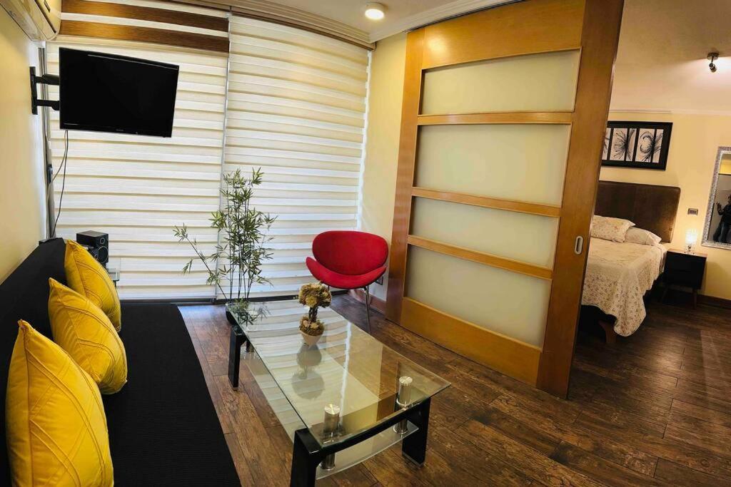 Apartamento Lindo Y Comodo Dpto Providencia 6